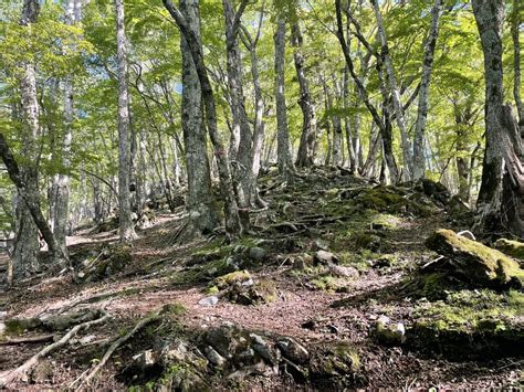 天祖山|天祖山 往復コースの地図・登山ルート・登山口情報 